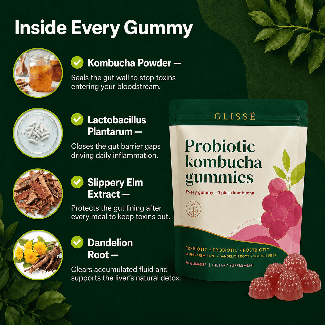 Glisse | Kombucha Gummies